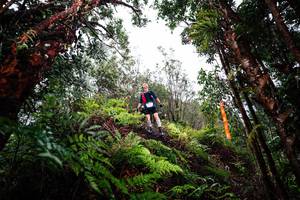 BIB: 
                            <button type="button" onclick="openModal(26205182)" class="btn btn-primary btn-sm float-right btn-popup" data-toggle="modal" data-target=".modal-high-quality">
                        <i class="fas fa-shopping-cart"></i> Add to Cart
                    </button>
                                            <button type="button" onclick="isThisMe(26205182, true)" class="btn btn-success btn-sm float-right btn-popup btn-isme hidden" data-toggle="tooltip" data-placement="bottom" title="นี่คือรูปของคุณใช่ไหม คลิกที่นี่เพื่อเอาเข้าอัลบั้ม">
                        <i class="fas fa-plus"></i> Add to album
                    </button>
                    <button type="button" onclick="isThisMe(26205182, false)" class="btn btn-warning btn-sm float-right btn-popup btn-isnotme hidden">
                        <i class="fas fa-ban"></i> Remove from album
                    </button>